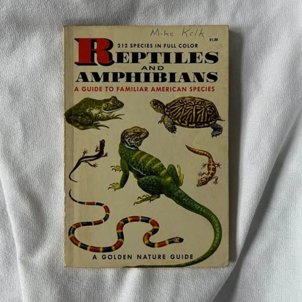 Reptiles and Amphibians, A Guide to Familiar American Species